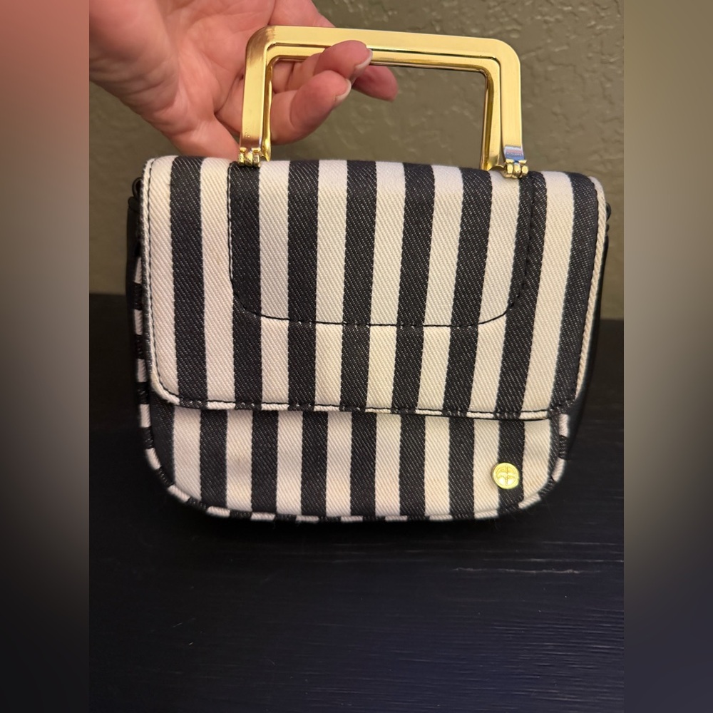 Adorable Small Striped Black and White Handbag with Gold Handle by Gianni Bini